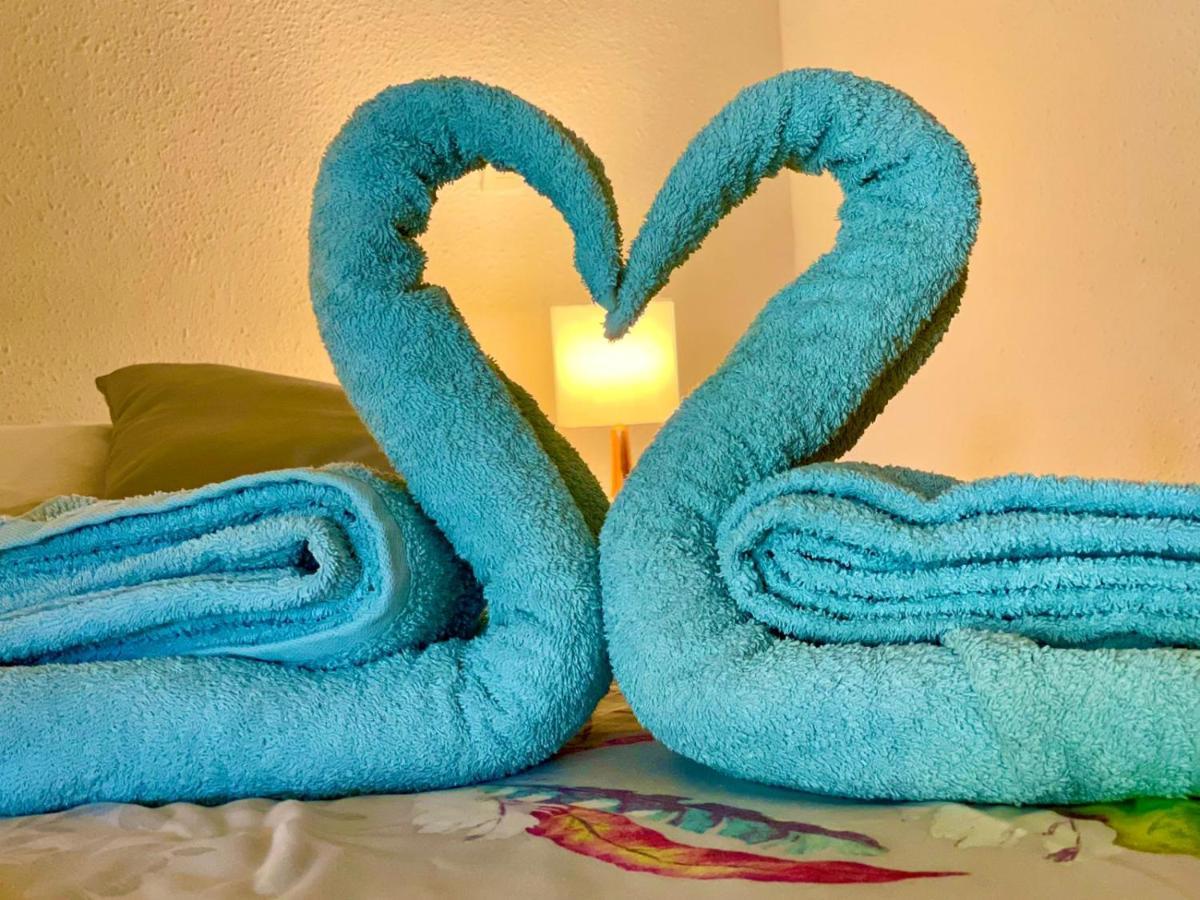 La Playa - L'Appartement Cozy - 2 A 5 Personnes Sainte-Anne  Ngoại thất bức ảnh