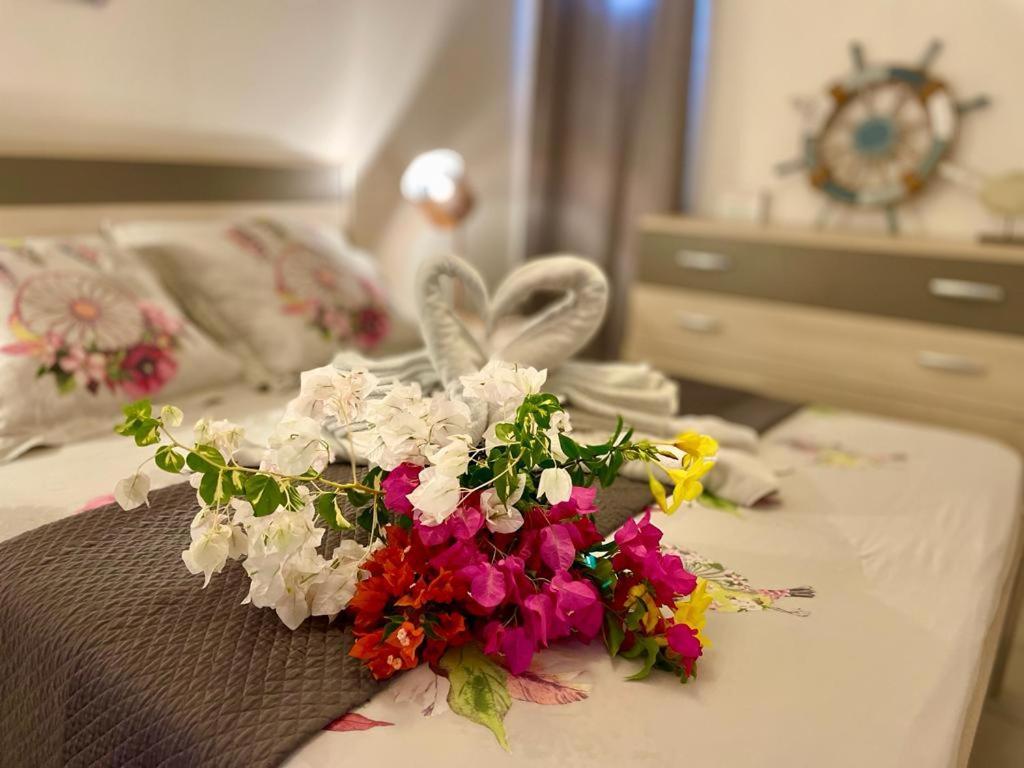 La Playa - L'Appartement Cozy - 2 A 5 Personnes Sainte-Anne  Ngoại thất bức ảnh